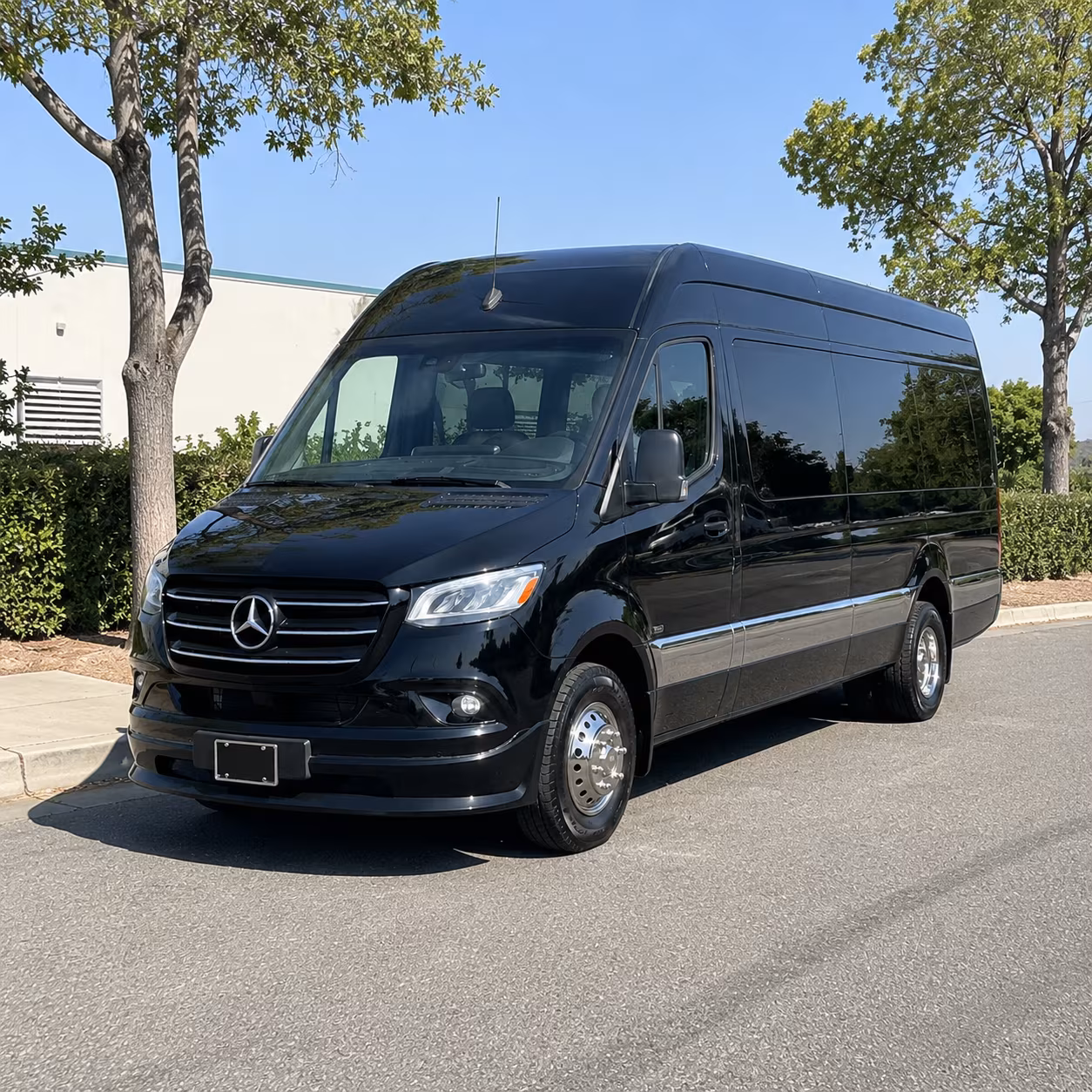 corona sprinter van booking step 2